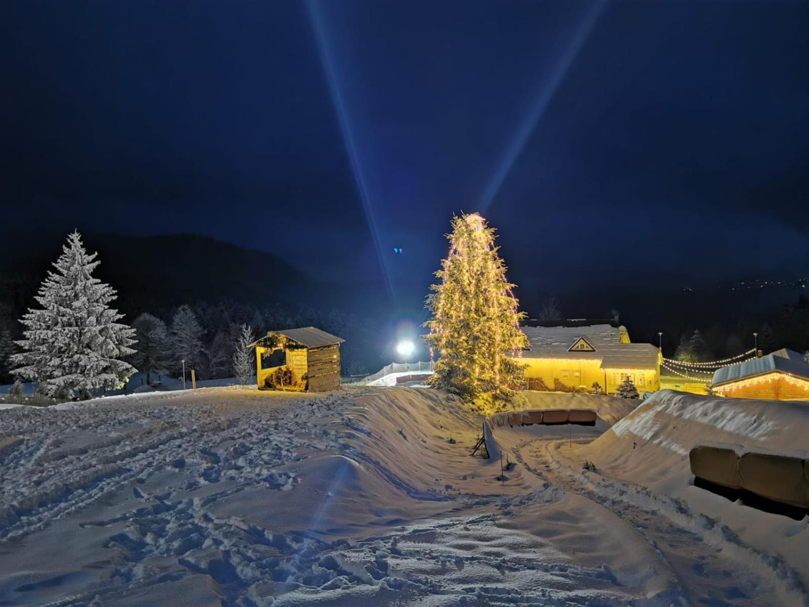Apartma Gorski Park